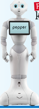 Vatandaş robot